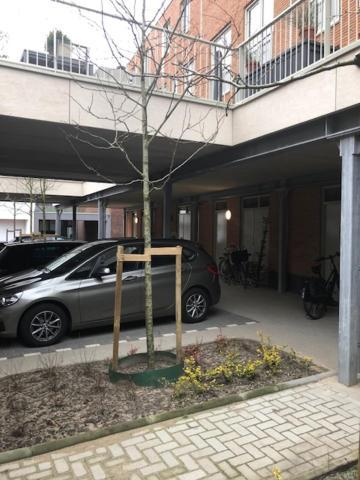 Benb Op De Trans, Arnhem Op Zijn Best! Exterior foto